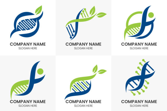 Building a Bold Brand Identity with DNA Genetics